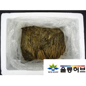 [울릉허브] 절임류 /절임 /1box (1box당 133,000원)/ 당귀절임 10kg (당귀4.5kg+소스)