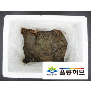 [울릉허브] 절임류 /절임 /10Kg (10Kg당 80,000원)/ 오식이 곰취절임 10kg